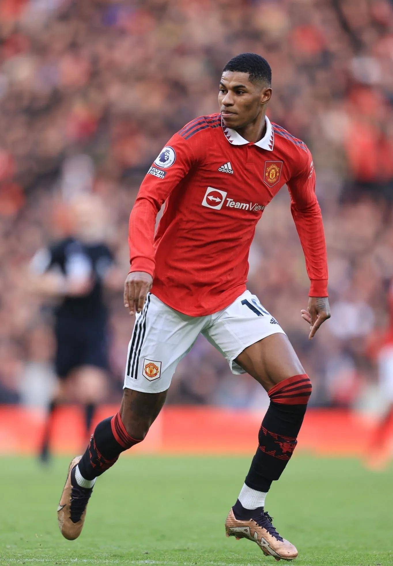 也是情理之 也是情理之